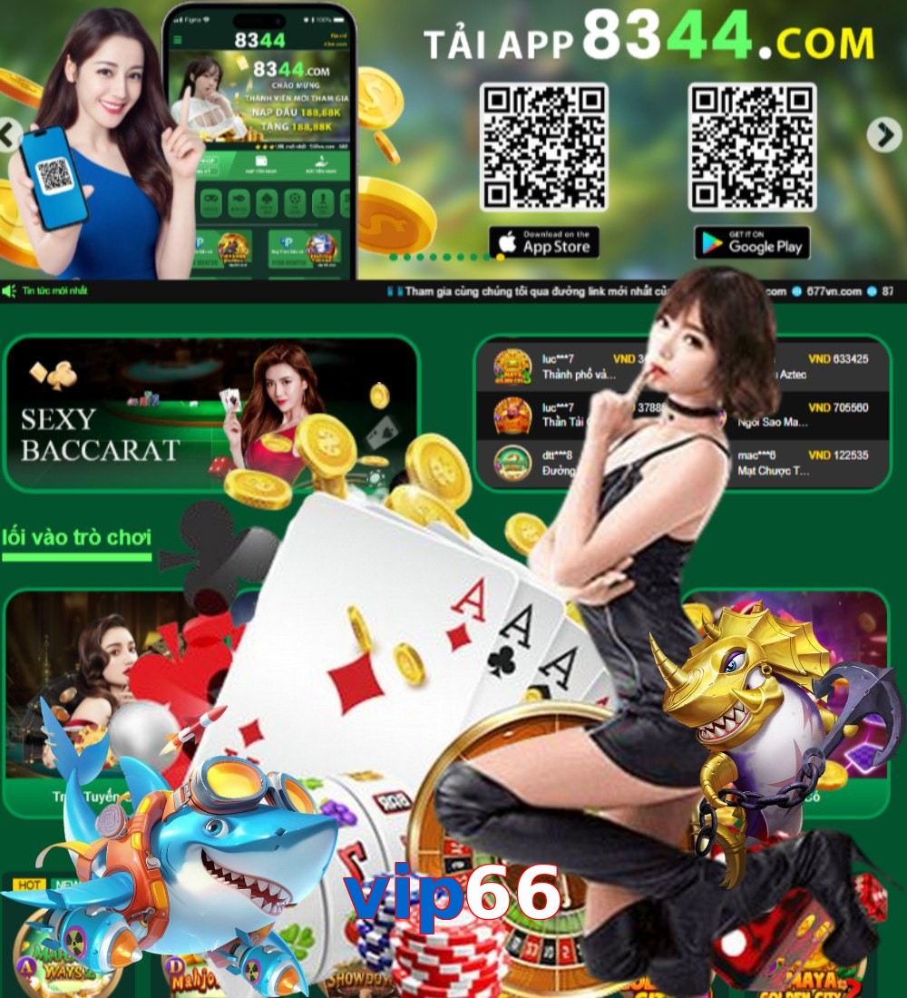 vip66