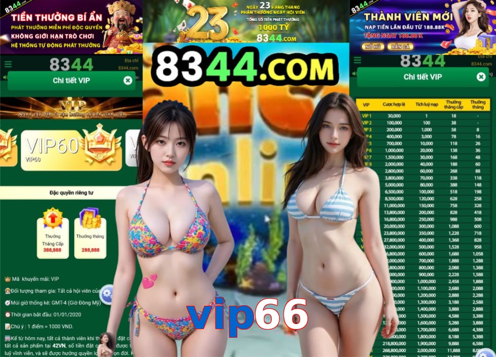vip66